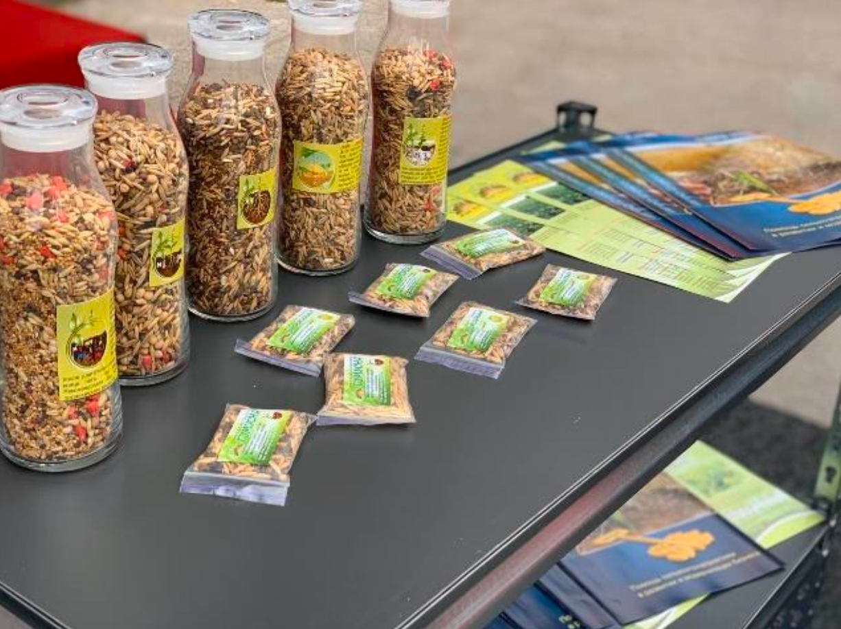 Zwischenfruchtmischung Super Mix 1 | Big Bag | 1.000 kg