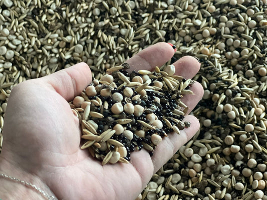 Zwischenfrucht-Saatgutmischung Super Mix | Big Bag | 1.000 kg