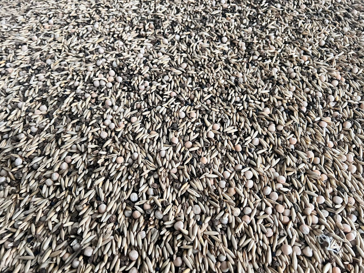 Zwischenfrucht-Saatgutmischung Super Mix | Big Bag | 1.000 kg