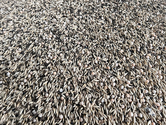 Zwischenfruchtmischung | Big Bag | 1.000 kg