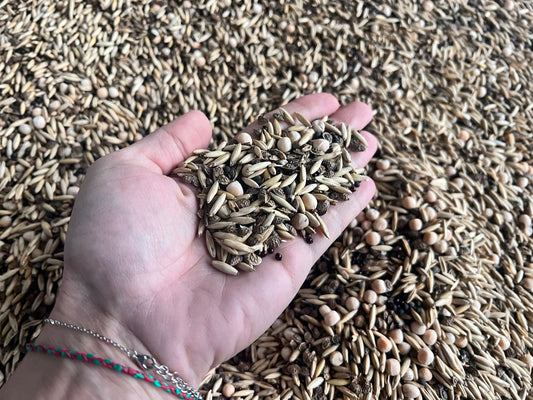 Zwischenfruchtmischung Super Mix 1 | Big Bag | 1.000 kg