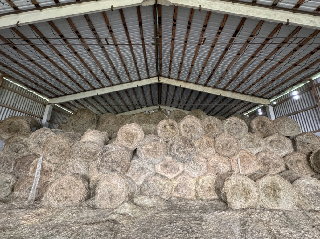 Heupellets für Biokraftstoff | 1.000 kg