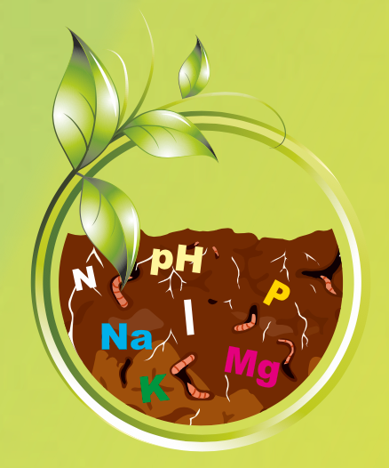 Zwischenfrucht-Saatgutmischung HUMUS | Big Bag | 1.000 kg